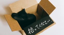 だれかひろってください〜猫けし〜 だれかひろってください〜猫けし〜