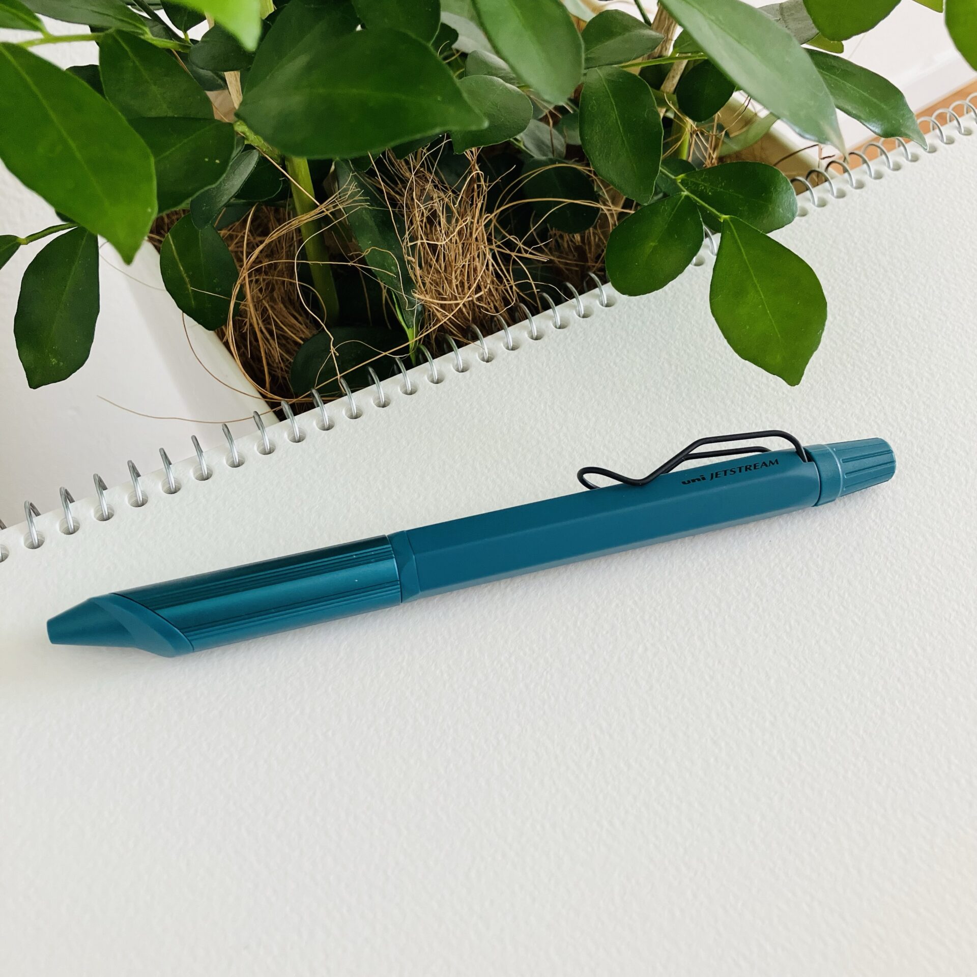 img_1217.jpg jetstream1